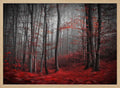 Misty Red Forest