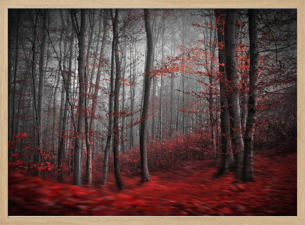 Misty Red Forest Art Print UK — Dark Moody Dark Wall Art — Living Room — Wall It All Prints