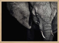 Dark Elephant Portrait
