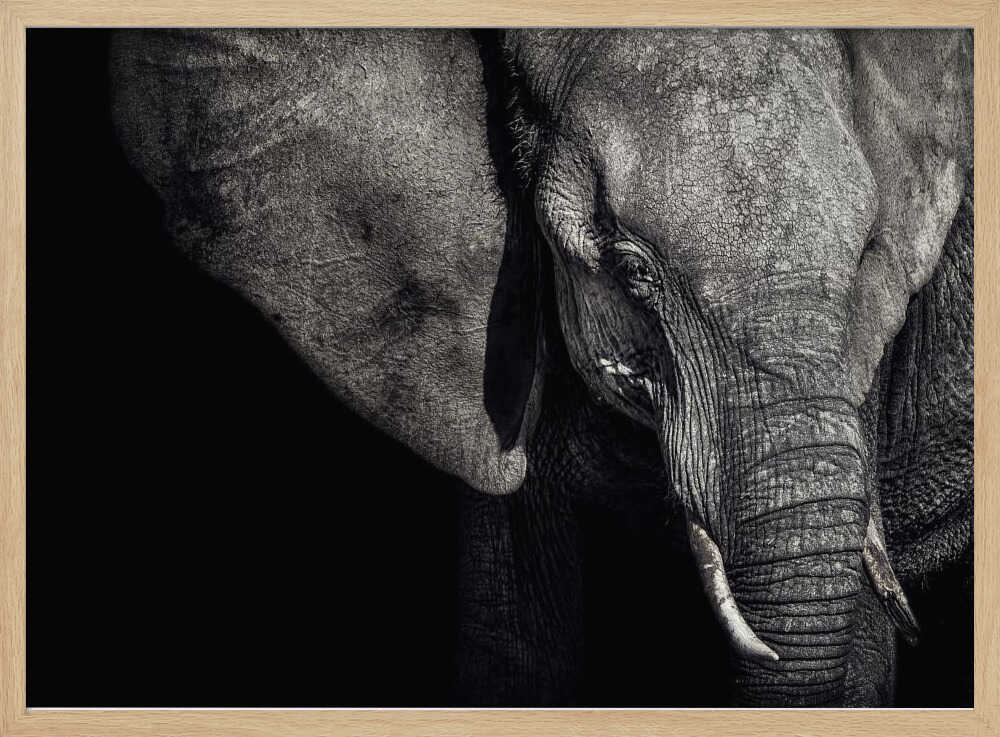 Dark Elephant Portrait Art Print UK — Dark Moody Dark Wall Art — Living Room — Wall It All Prints