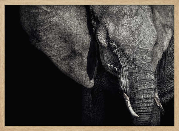 Dark Elephant Portrait Art Print UK — Dark Moody Dark Wall Art — Living Room — Wall It All Prints