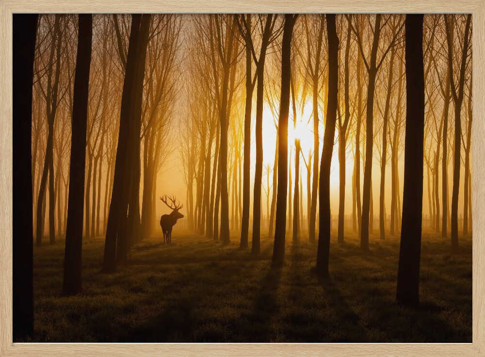 Golden Forest Stag Art Print UK — Landscape Calm Wall Art — Living Room — Wall It All Prints