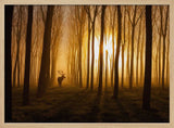 Golden Forest Stag