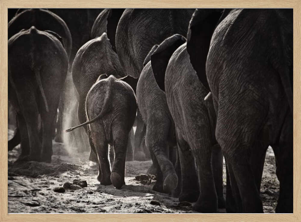 Dusty Elephant Family Art Print UK — Dark Moody Dark Wall Art — Nursery — Wall It All Prints