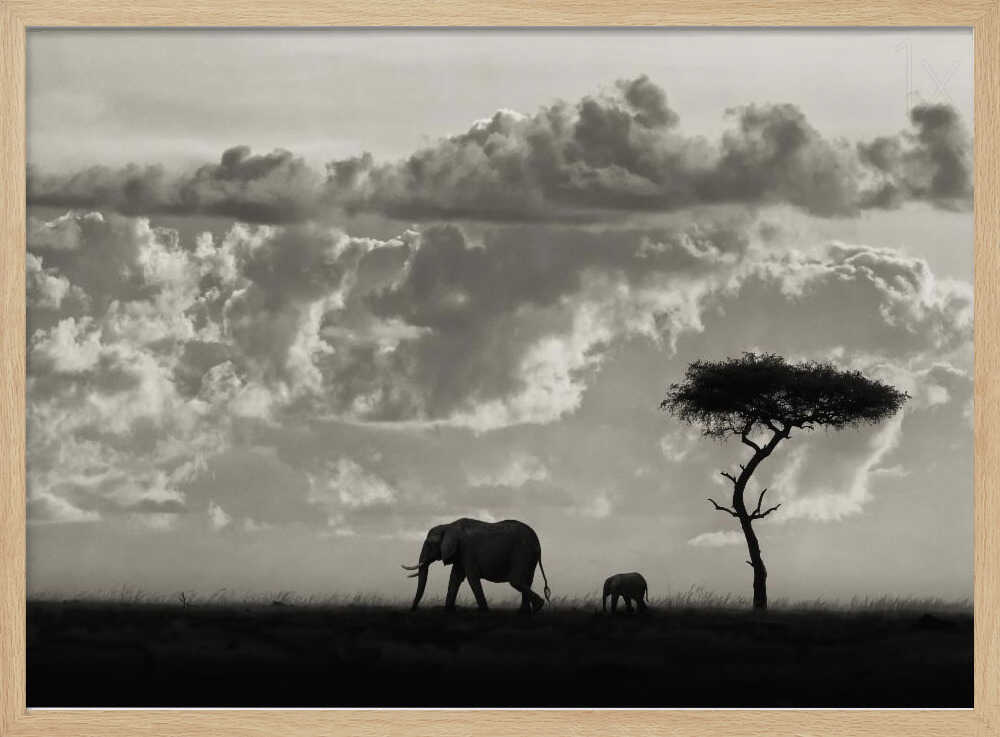 Elephant Family Safari Art Print UK — Dark Moody Calm Wall Art — Nursery — Wall It All Prints
