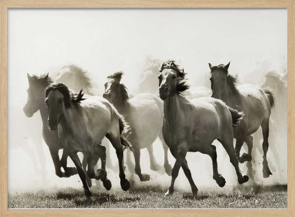 Galloping Wild Horses Art Print UK — Animal Vibrant Wall Art — Living Room — Wall It All Prints