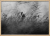 Misty Flight Through Reeds Art Print UK — Abstract Calm Wall Art — Living Room — Wall It All Prints