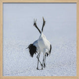 Japanese Cranes Courtship Dance Art Print UK — Japanese Dark Wall Art — Living Room — Wall It All Prints