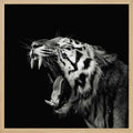 Roaring Tiger Portrait