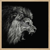Fierce Roaring Lion