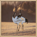 Cranes Golden Breath Art Print UK — Animal Calm Wall Art — Living Room — Wall It All Prints
