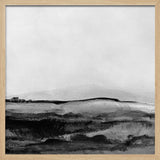 Mono Landscape No1