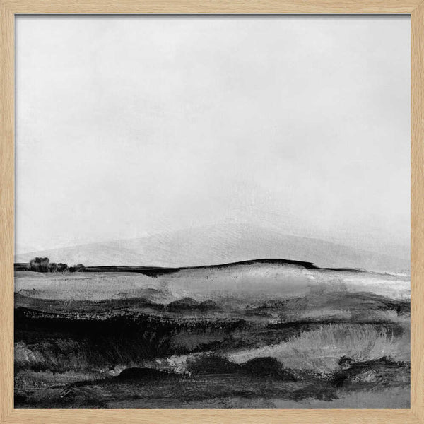 Mono Landscape No1