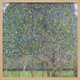 Pear Tree (1903)