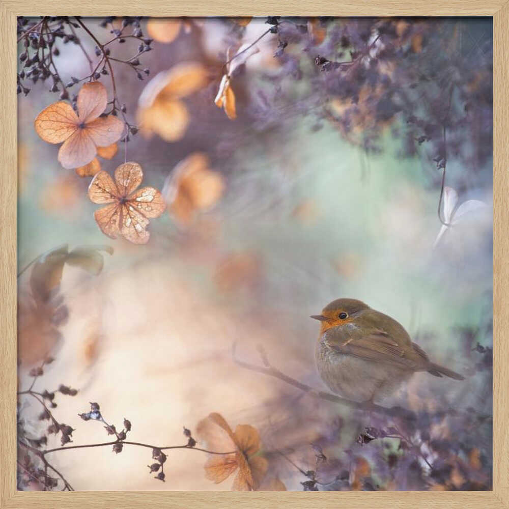 Dreamy Autumn Robin Art Print UK — Botanical Calm Wall Art — Bedroom — Wall It All Prints