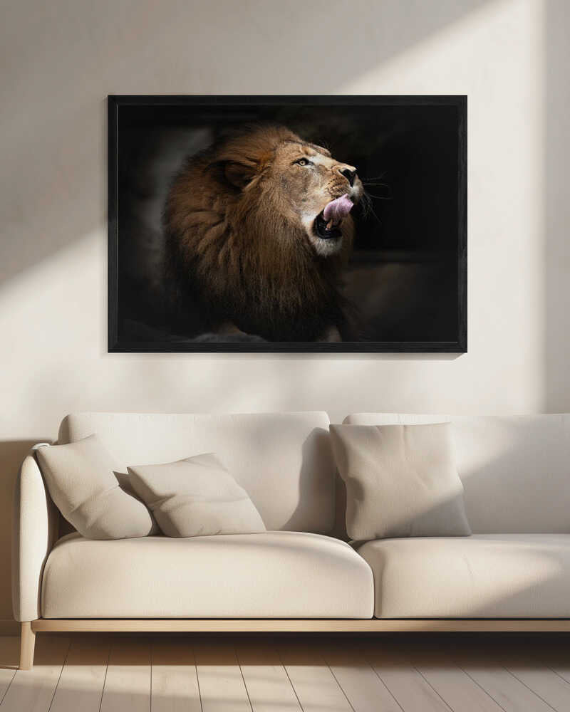 Majestic Lion Profile Art Print UK — Dark Moody Dark Wall Art — Living Room — Wall It All Prints