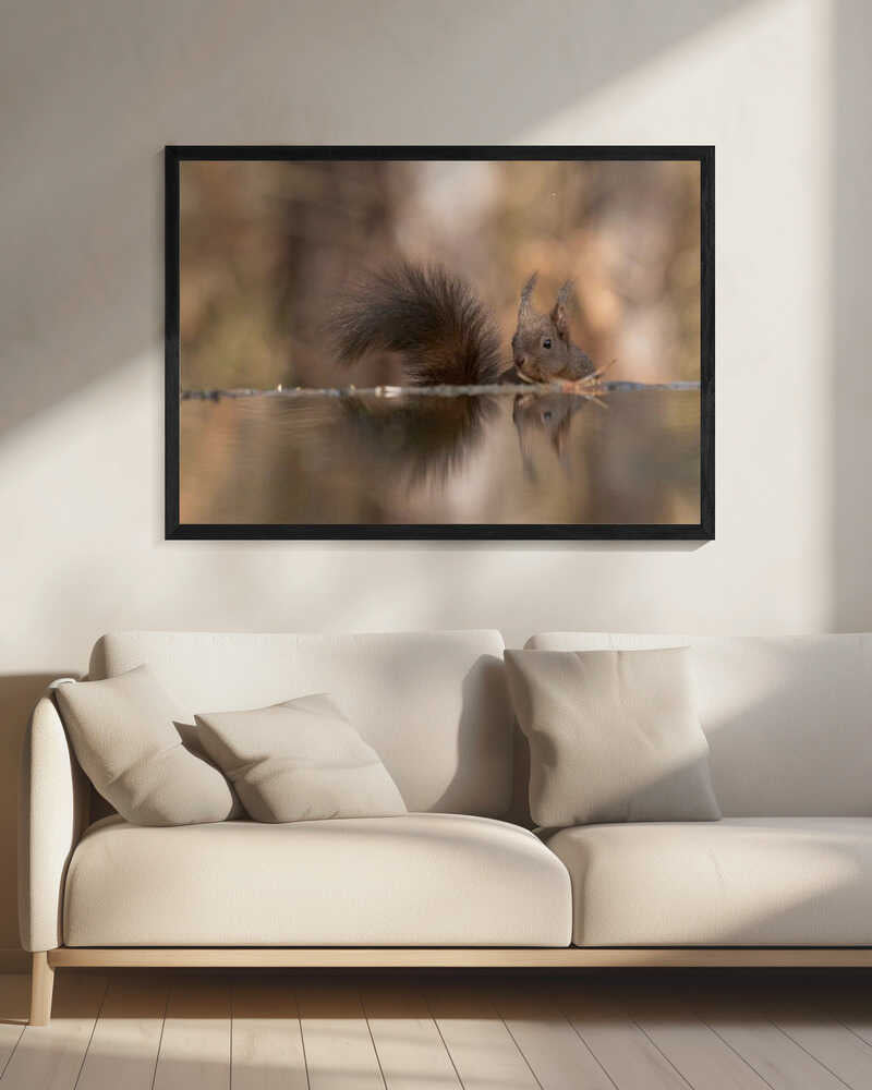 Red Squirrel's Reflection Art Print UK — Japanese Calm Wall Art — Living Room — Wall It All Prints
