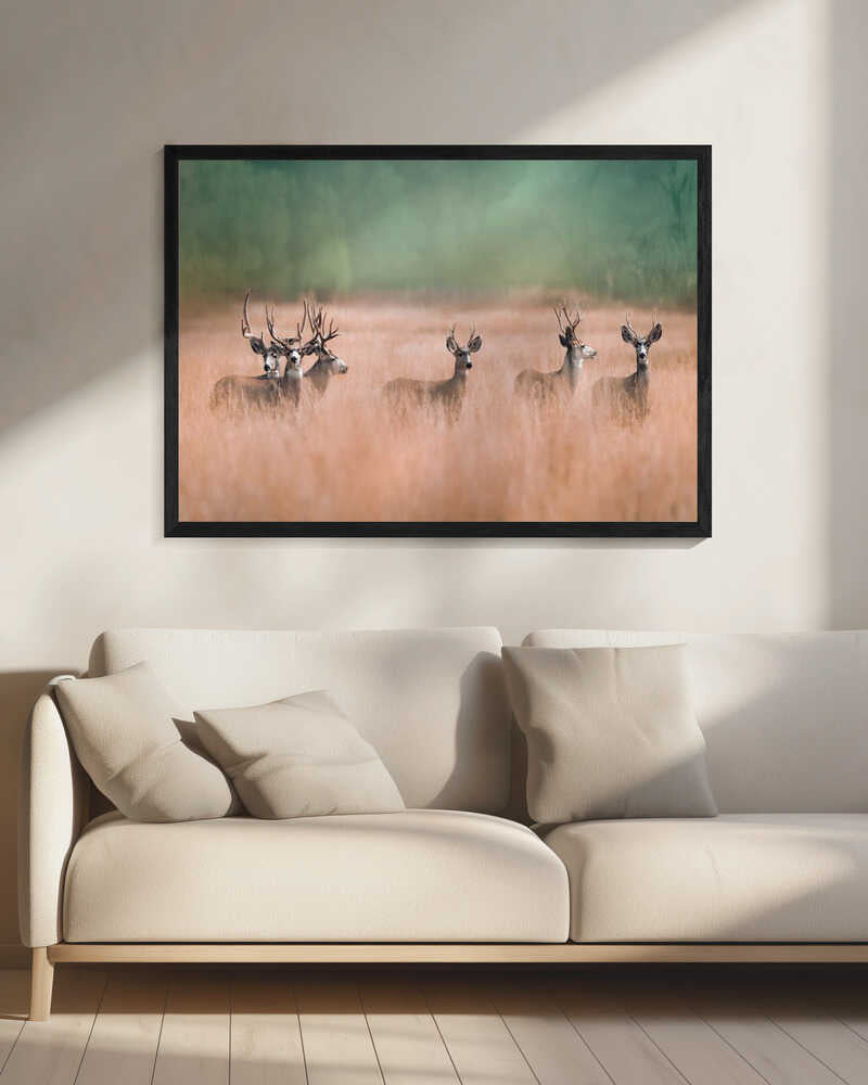 Deer In Tall Grass Art Print UK — Landscape Calm Wall Art — Bedroom — Wall It All Prints