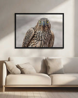 Intense Goshawk Gaze Art Print UK — Portrait Vibrant Wall Art — Living Room — Wall It All Prints