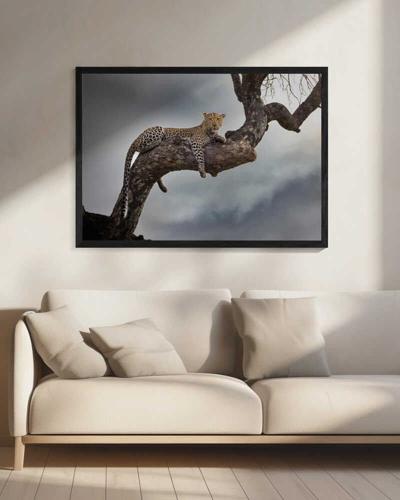 Majestic Tree Leopard Art Print UK — Animal Calm Wall Art — Living Room — Wall It All Prints