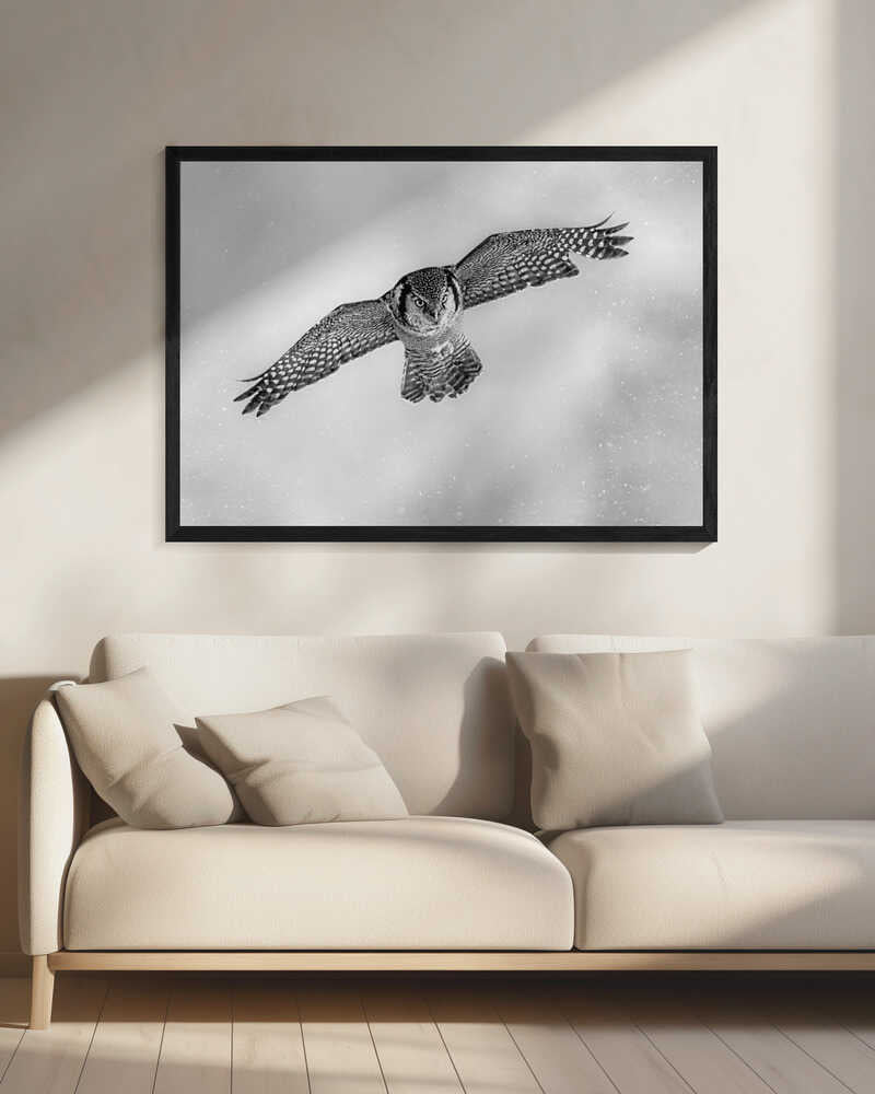 Flying Snow Owl Art Print UK — Dark Moody Dark Wall Art — Living Room — Wall It All Prints