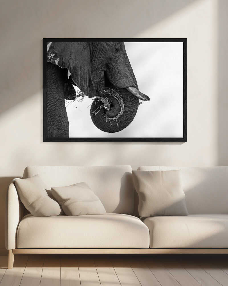 Curling Elephant Trunk Art Print UK — Abstract Dark Wall Art — Living Room — Wall It All Prints