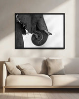 Curling Elephant Trunk