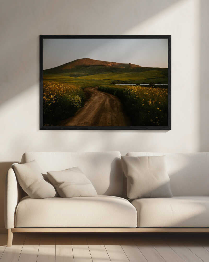 Golden Hour Country Road Art Print UK — Botanical Vibrant Wall Art — Living Room — Wall It All Prints