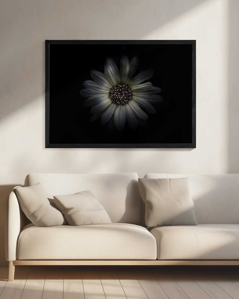 Softly Lit Bloom Art Print UK — Botanical Calm Wall Art — Living Room — Wall It All Prints