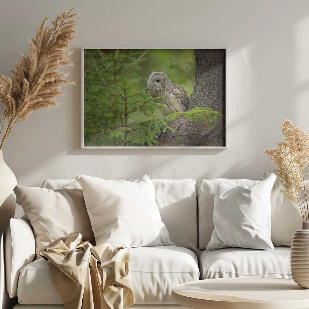 Watchful Forest Owl Art Print UK — Landscape Calm Wall Art — Bedroom — Wall It All Prints