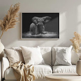 Majestic Elephant In Water