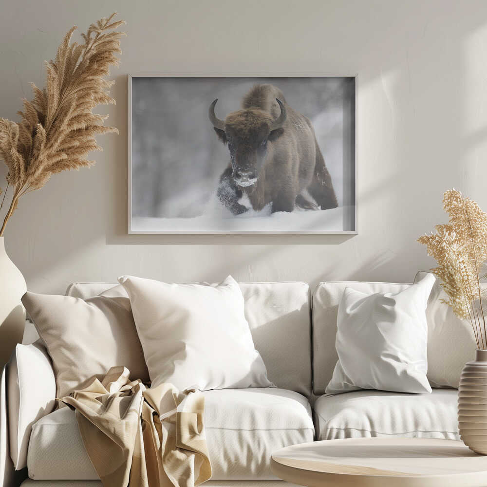 Wild Bison In Snow Art Print UK — Landscape Vibrant Wall Art — Living Room — Wall It All Prints