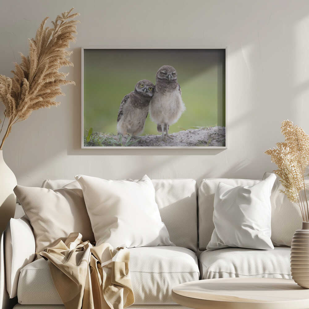 Two Adorable Owlets Art Print UK — Animal Calm Wall Art — Nursery — Wall It All Prints