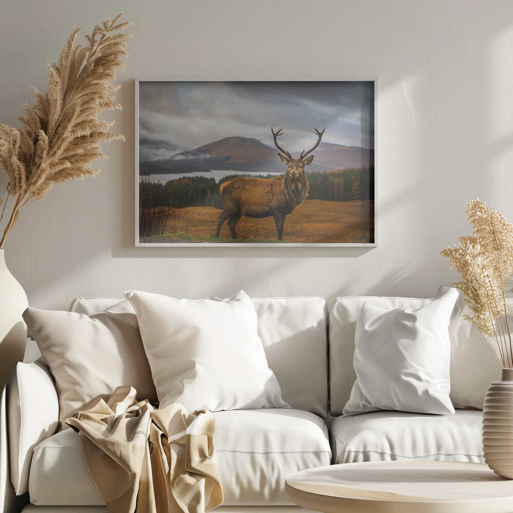 Majestic Highland Stag Art Print UK — Portrait Calm Wall Art — Living Room — Wall It All Prints