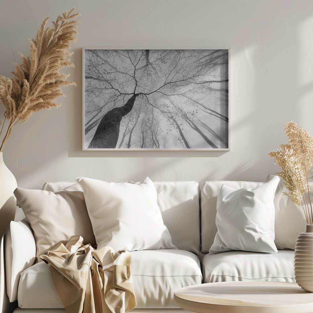Winding Tree in Mist Art Print UK — Abstract Calm Wall Art — Office — Wall It All Prints
