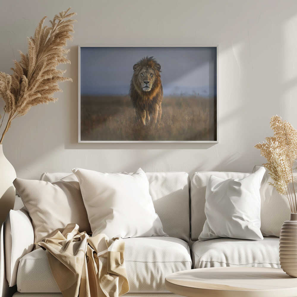 Majestic African Lion Art Print UK — Animal Warm Wall Art — Living Room — Wall It All Prints