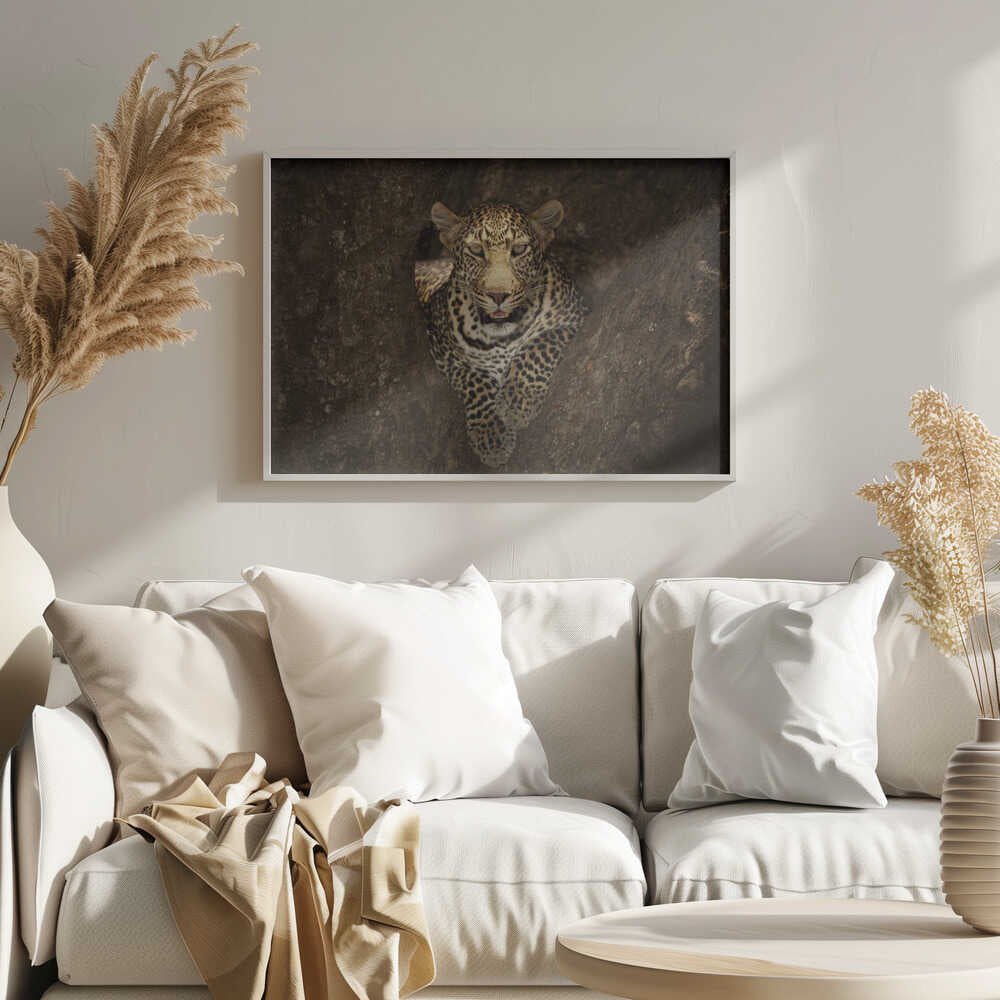 Watchful Leopard In Tree Art Print UK — Portrait Vibrant Wall Art — Living Room — Wall It All Prints