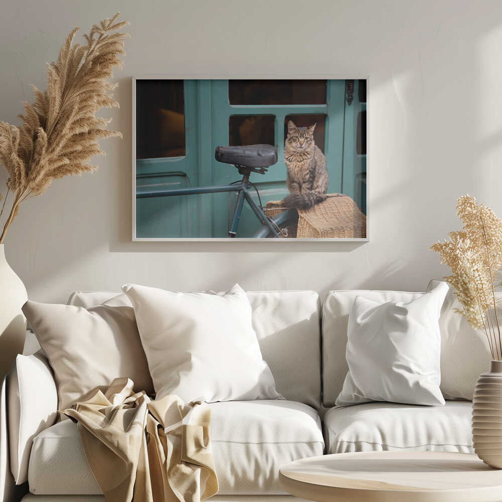 Tabby Cat on Bicycle Art Print UK — Vintage Fresh Wall Art — Living Room — Wall It All Prints