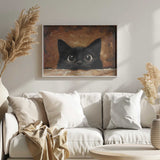Cute Black Kitten
