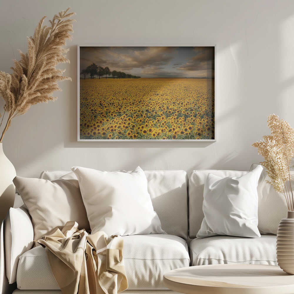 Golden Sunflower Field Art Print UK — Botanical Vibrant Wall Art — Living Room — Wall It All Prints