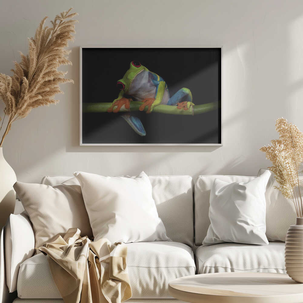 Vibrant Red-Eyed Frog Art Print UK — Animal Vibrant Wall Art — Living Room — Wall It All Prints