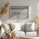 Wild Penguins on Shore