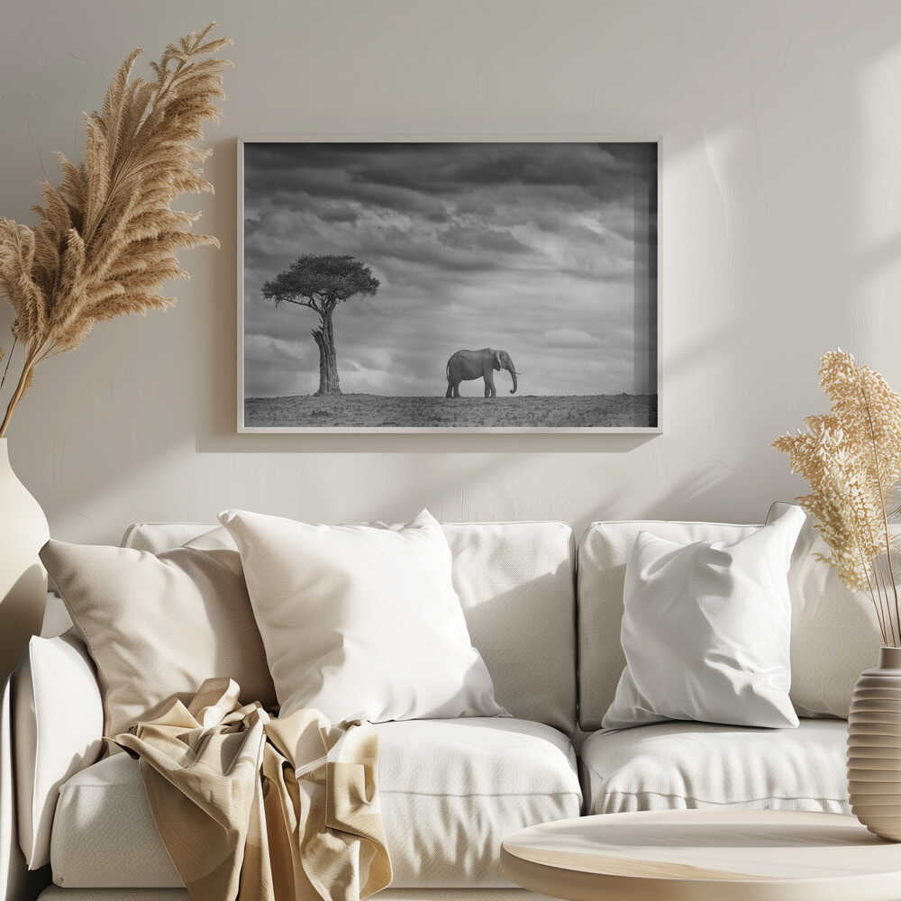 African Elephant Solitude Art Print UK — Dark Moody Calm Wall Art — Living Room — Wall It All Prints