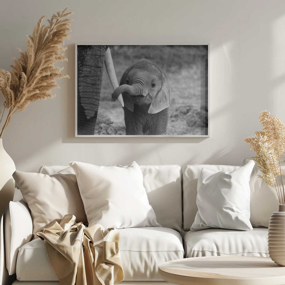 Curious Baby Elephant Art Print UK — Portrait Dark Wall Art — Nursery — Wall It All Prints