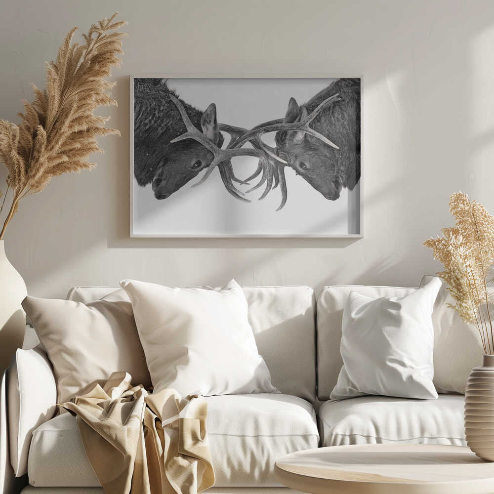 Intense Elk Battle Art Print UK — Dark Moody Dark Wall Art — Living Room — Wall It All Prints