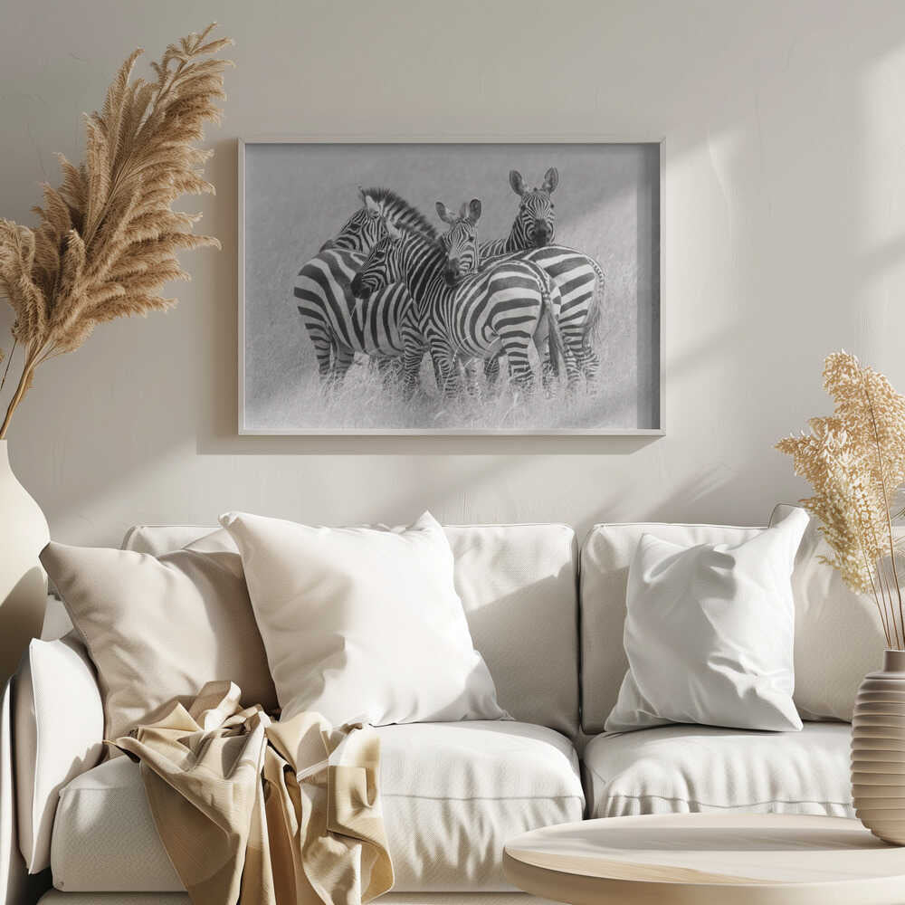 Wild Zebra Herd Art Print UK — Abstract Dark Wall Art — Living Room — Wall It All Prints