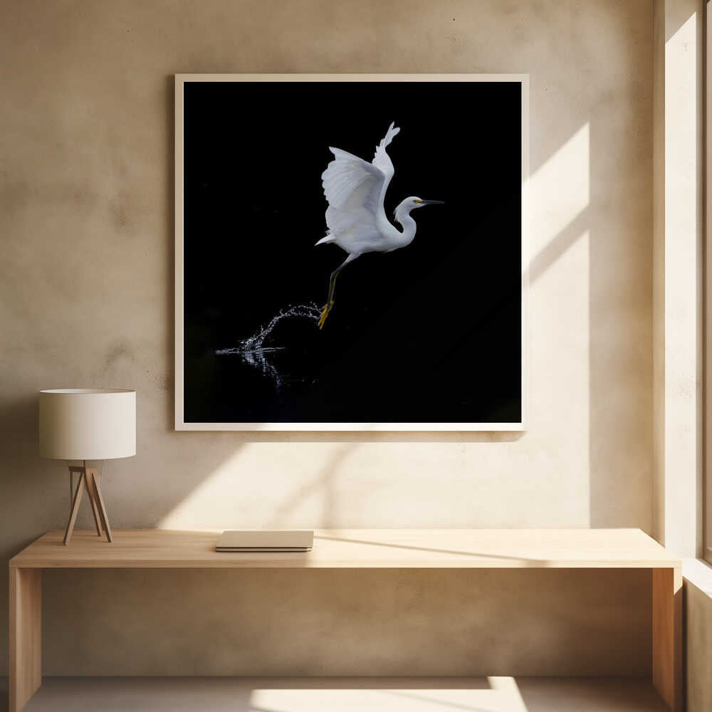 Graceful Egret Takes Flight Art Print UK — Dark Moody Dark Wall Art — Office — Wall It All Prints
