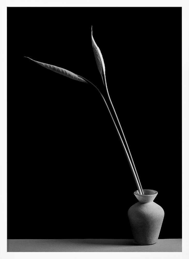 Elegant Botanical Still Life Art Print UK — Japanese Calm Wall Art — Bedroom — Wall It All Prints