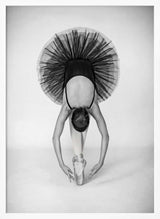 Graceful Ballerina Pose