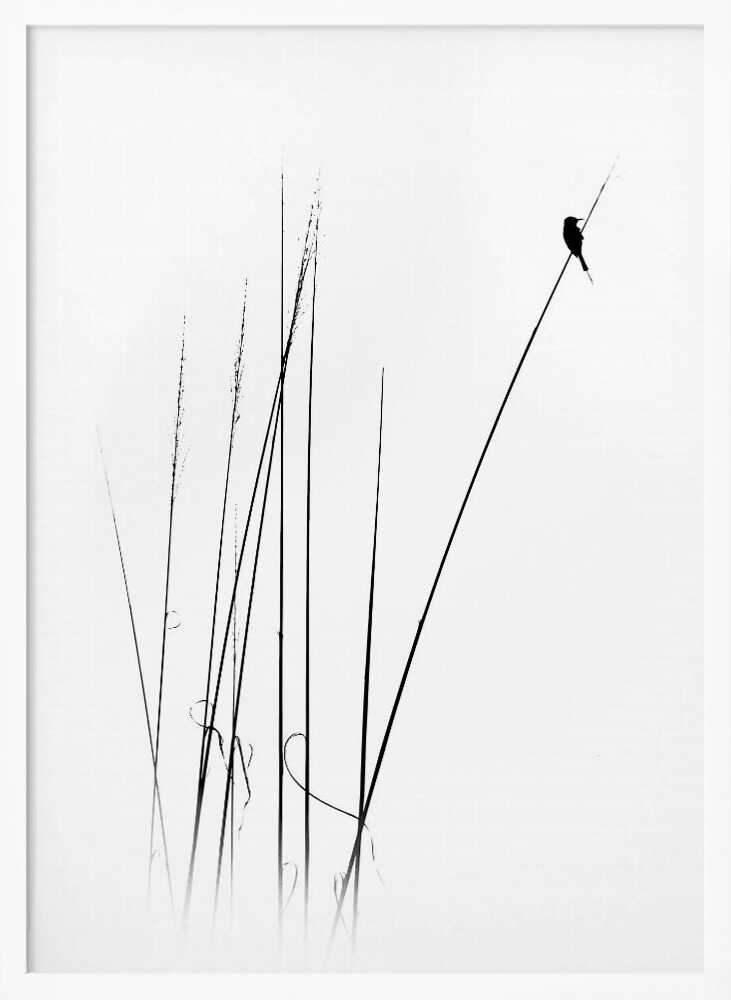 Graceful Reed Bird Art Print UK — Botanical Calm Wall Art — Bedroom — Wall It All Prints